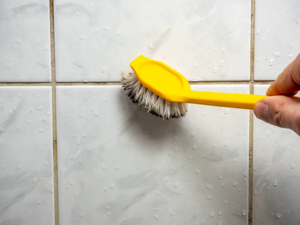 Reliable Eldorado, IL Mold Removal Solutions