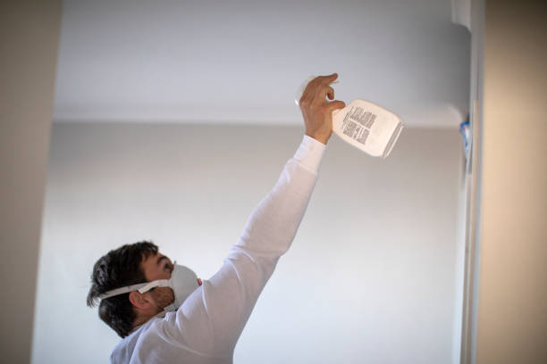 Certified Mold Removal in Eldorado, IL