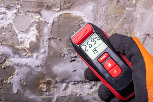 Best Mold Cleaning Services  in Eldorado, IL