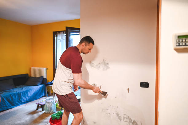 Best Mold Removal Process  in Eldorado, IL